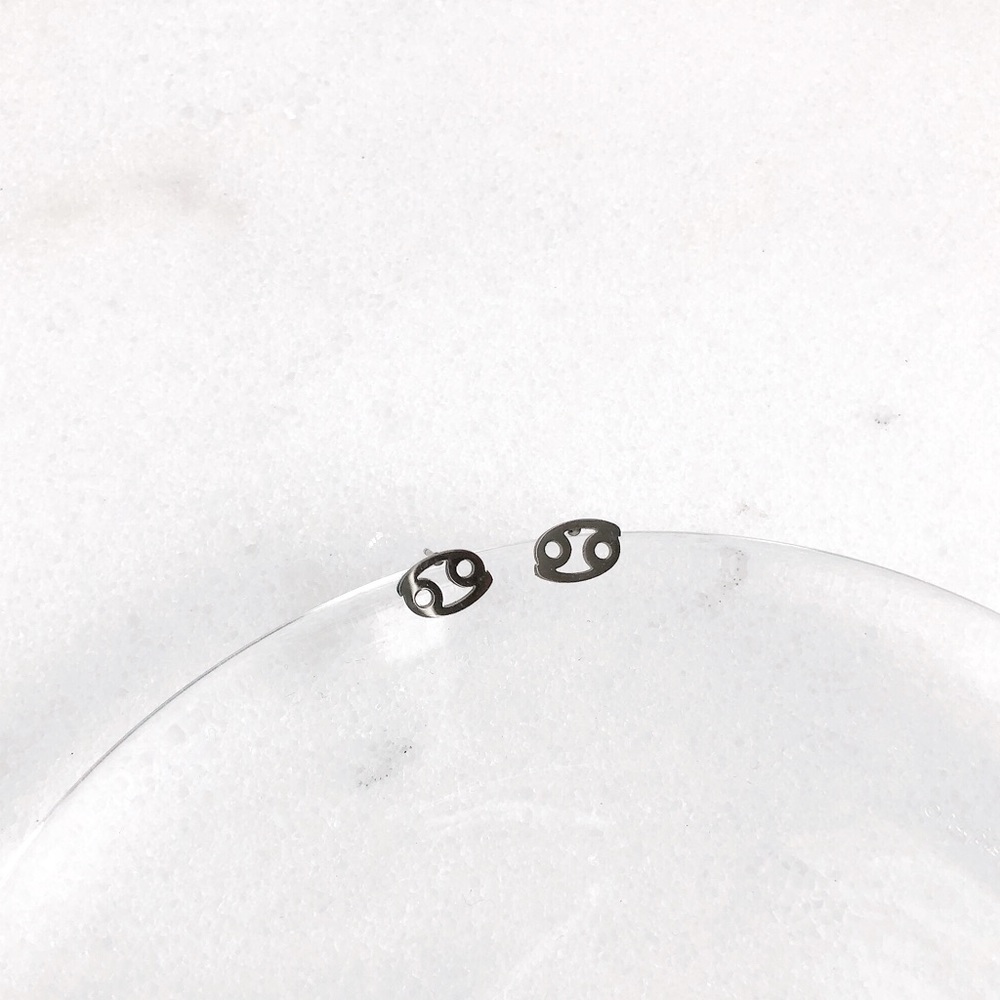 ♋️ Horoscope Stud Earrings